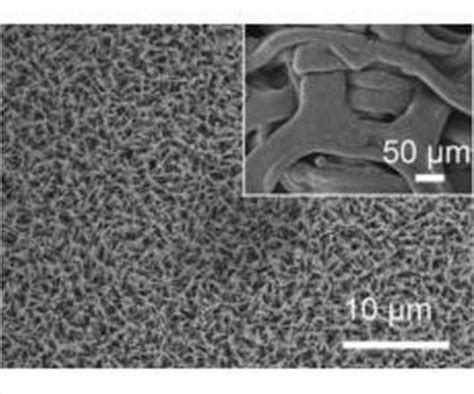  Titanium Dioksidi - Uskomattoman Kestävä ja Valoisa Aine Nanomateriaaleissa!